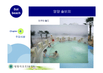 [관광개발론] 대명리조트 양양 솔비치 분석-18