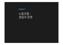 [노사관계] 노동조합과 경영자조직-19