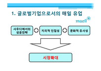 [국제경영] 매일유업의 중동시장 진출전략-14