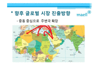 [국제경영] 매일유업의 중동시장 진출전략-15