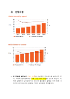 글로벌 기업환경과 경영 -남아프리카 공화국-10