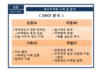 독도 마케팅에 대한 연구와 미래 전략 제시-13