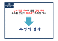 독도 마케팅에 대한 연구와 미래 전략 제시-18