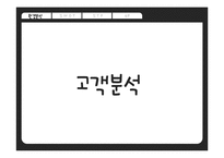 가시홍화씨 음료 신제품 개발 마케팅전략-13