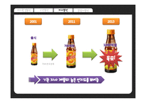 가시홍화씨 음료 신제품 개발 마케팅전략-18