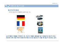[국제경영] 태평양 프랑스 향수시장 진출-14