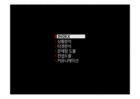 에너지음료 번 인텐스 IMC전략 기획-2