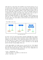 [유통관리] 자동차 시장의 유통구조 분석-5