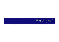 삼성노블카운티 서비스마케팅전략-3