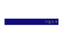 삼성노블카운티 서비스마케팅전략-6