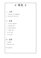 르노삼성자동차(주) 마케팅 전략-2