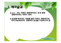 에코 숲길 레포트-3