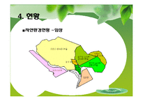 에코 숲길 레포트-9