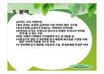 에코 숲길 레포트-11