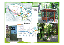 에코 숲길 레포트-17