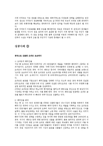 [국제마케팅] 글로벌 제품의 표준화 & 현지화 사례연구-14