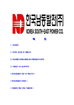 [한국남동발전-2013년최신공채합격자기소개서]한국남동발전자기소개서자소서,한국남동발전자소서자기소개서,남동발전자소서,남동발전합격자기소개서,남동발전합격자소서,자기소개서-2