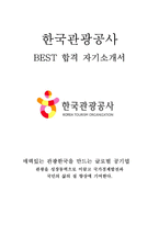 한국관광공사 인턴 최신 BEST 합격 자기소개서!!!!-1