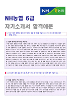 [2020년 NH농협 자소서] NH농협은행자기소개서 합격샘플 (농협 채용 합격자소서/NH농협자기소개서/농협자기소개서 농협자소서/취업 지원동기)-1