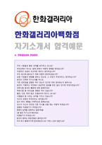 ★ 한화갤러리아(영업기획) 자기소개서 합격예문 + 면접족보 [한화갤러리아 자기소개서/한화갤러리아 자기소개서 합격자소서/지원동기]-1