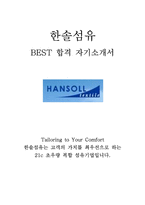 한솔섬유 최신 BEST 합격 자기소개서!!!!-1