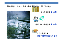세계 1위의 펌프 제조기업 그런포스(Grundfos) 덴마크 강소기업의 이해 및 성공전략-7