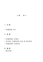 인적자원관리-인사관리제도 - SK텔레콤-2