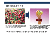 창조적인 아이디어로 성공한 마케팅전략과 기업사례 분석-14
