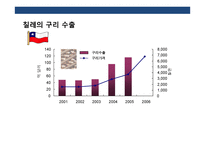 중남미 경제에 대한 이해 및 한국 진출전략-12