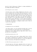 [영유아프로그램개발과평가] 피아제의 인지이론을 정리하고, 주변의 유아를 한명 관찰한 후, 인지단계속하는지 말하라-5