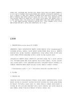 생태체계이론에서_아동의_또래관계에_대해_논하시오-3