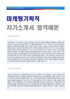 ★ 2023년 마케팅/경영기획직/홍보팀 자기소개서 합격예문 [대기업 기획/경영지원/마케팅 자기소개서/기획직자기소개서]-1