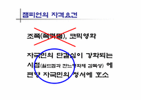 [광고매체학]챔피온(매체기획서)-11