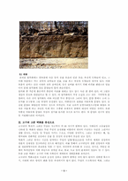 [한국교육사-암각화, 벽화와 교육]전통사회의 미술과 교육-암각화와 벽화 중심으로-3