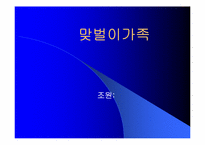 맞벌이가족 레포트-1