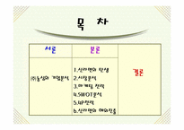 (주)농심 신라면의 해외진출-3