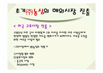 (주)농심 신라면의 해외진출-16