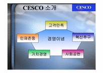 [서비스마케팅] cesco 세스코마케팅전략-4