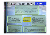 [서비스마케팅] cesco 세스코마케팅전략-12