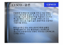 [서비스마케팅] cesco 세스코마케팅전략-13