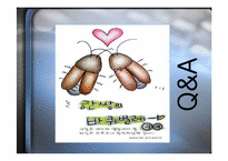 [서비스마케팅] cesco 세스코마케팅전략-14