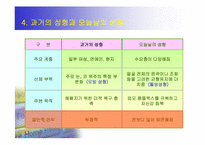 [대중문화] 성형문화-10
