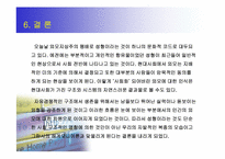 [대중문화] 성형문화-19