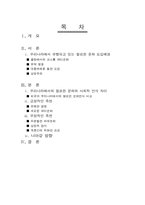 [대중문화론] 할로윈데이열풍에 대해서-2