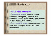 [음식문화] 프랑스와인 보르도 메독에 대하여-9