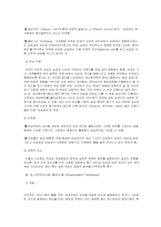 [서양문학사] 페미니즘의 역사와 이론적측면-8