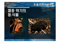 [대기오염개론] 생물다양성의 소멸-19
