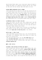 [독후감및요약] 코카콜라는 어떻게 산타에게 빨간옷을 입혔는가를 읽고-5
