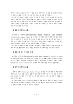 [A+레포트]정신장애인을 위한 사례관리와 심리치료 및 개입방법-13