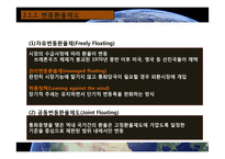 국제통화체제 레포트-8
